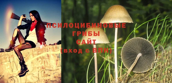 скорость Абаза