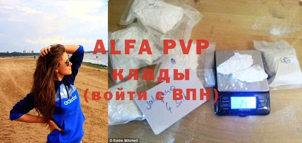 индика Абдулино