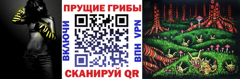 закладки  Западная Двина  Псилоцибиновые грибы мицелий 