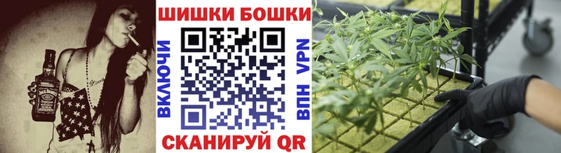 Бошки Шишки MAZAR Западная Двина